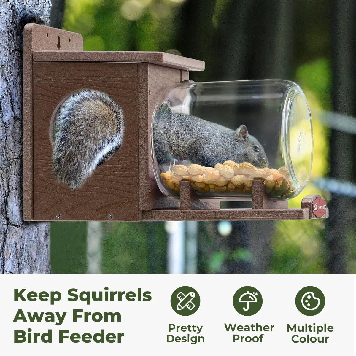 Wooden Squirrel Feeder With Glass Jar