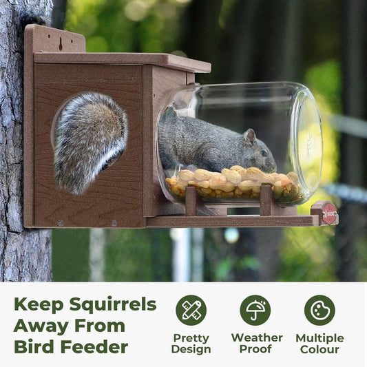 Wooden Squirrel Feeder With Glass Jar