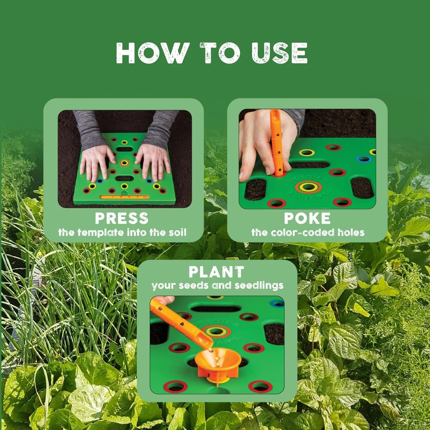 Garden Seed Spacing Planting Guide