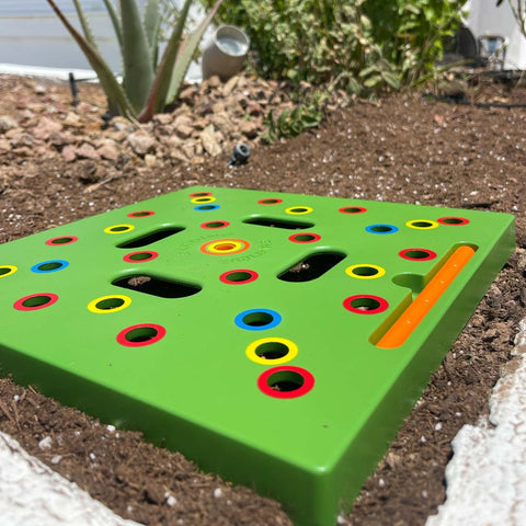 Garden Seed Spacing Planting Guide