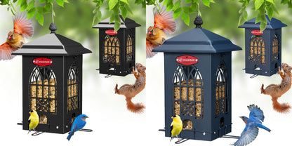 Squirrel Resistant Bird Feeder