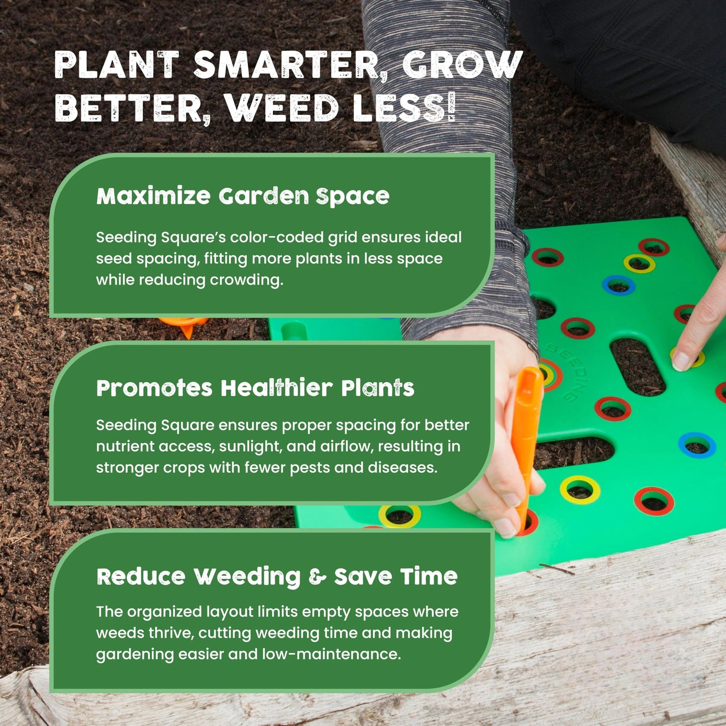 Garden Seed Spacing Planting Guide