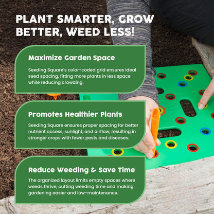 Garden Seed Spacing Planting Guide
