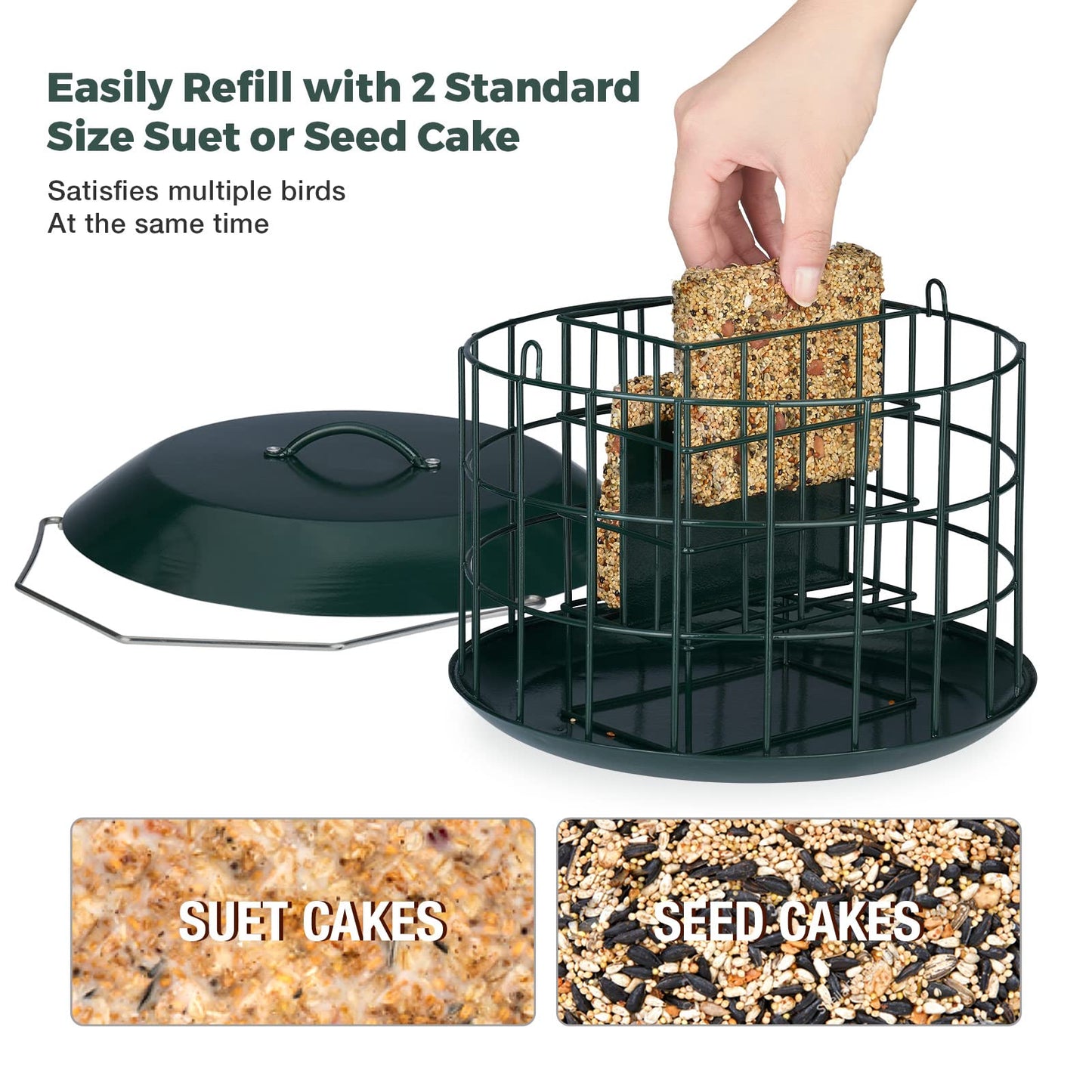 Squirrel Proof Suet Feeder