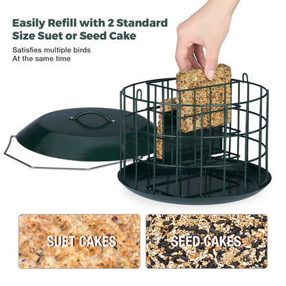 Squirrel Proof Suet Feeder