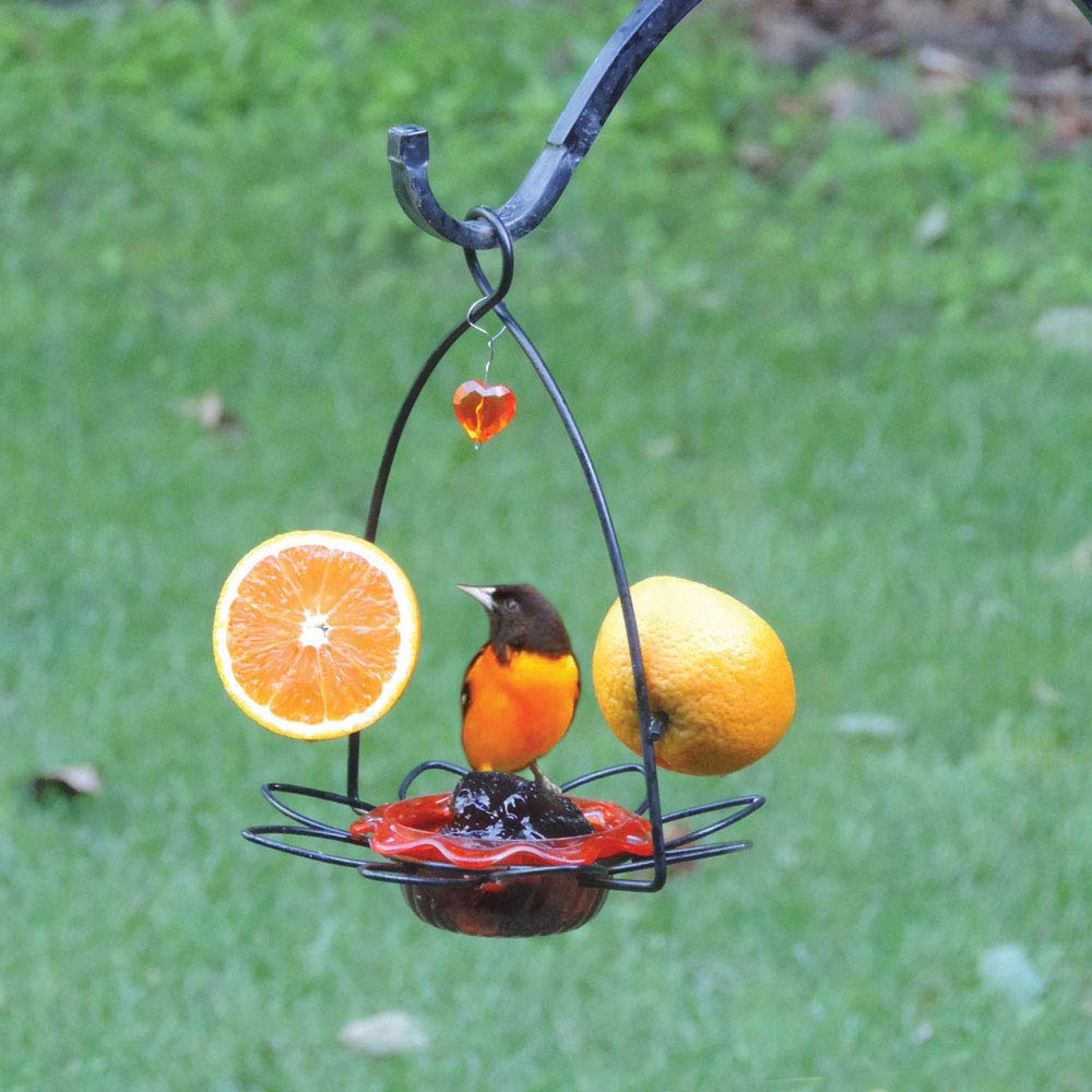 Oriole Jelly Bird Feeder