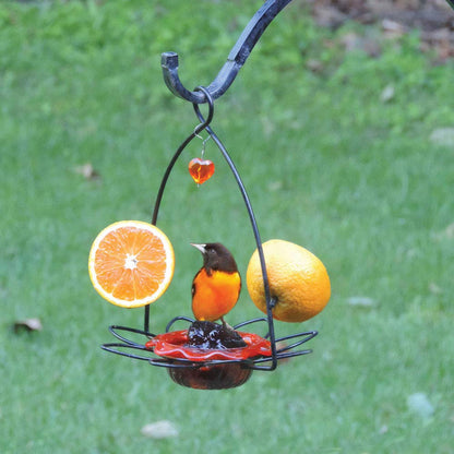 Oriole Jelly Bird Feeder