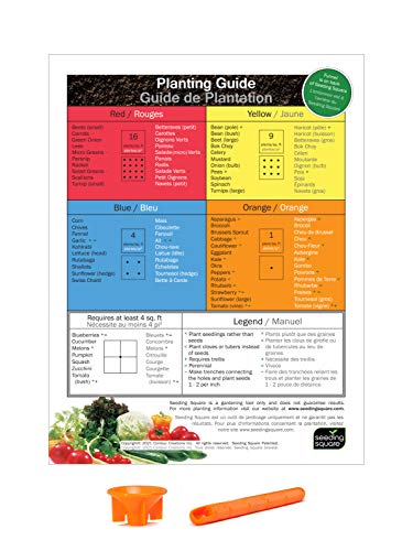 Garden Seed Spacing Planting Guide