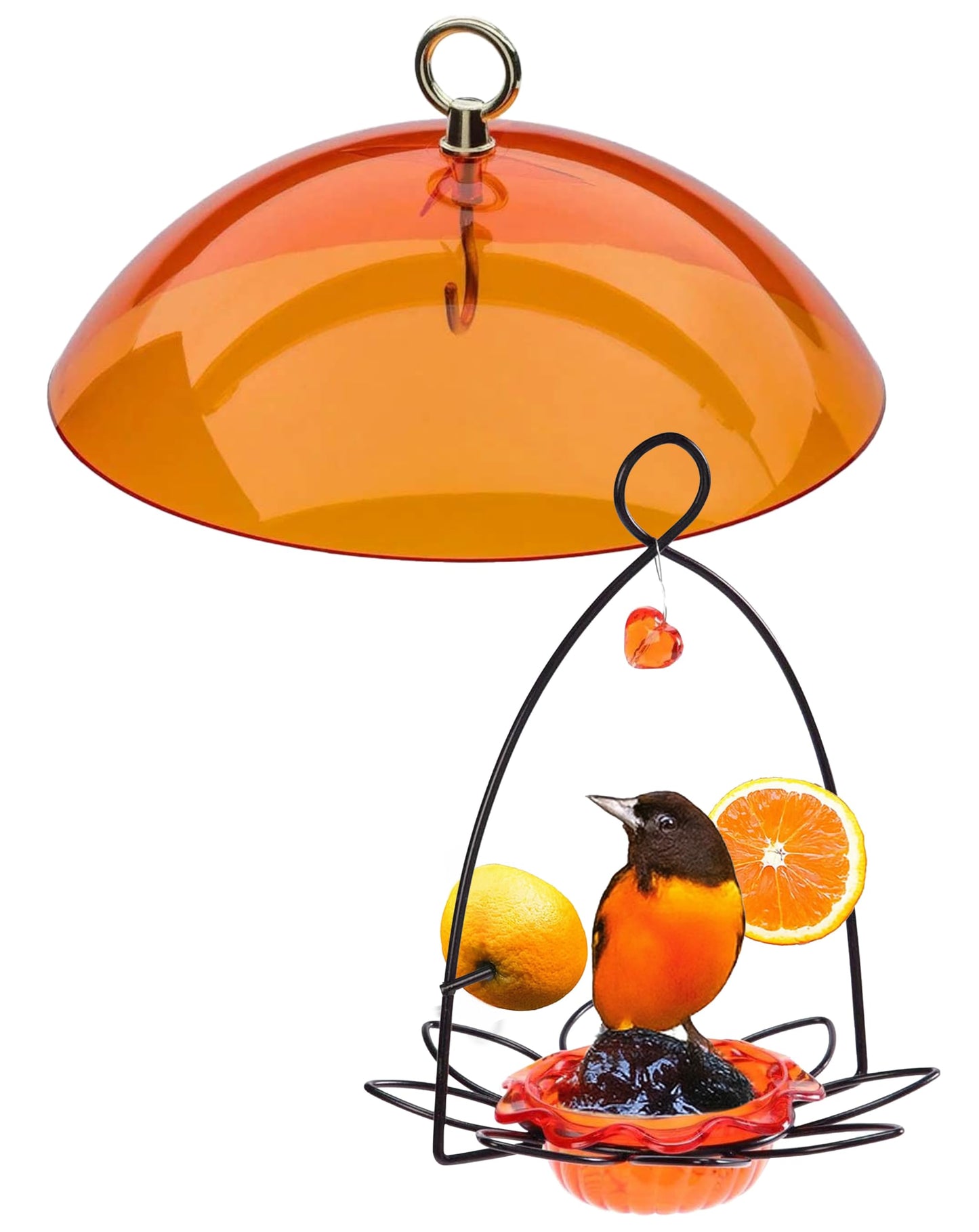 Oriole Jelly Bird Feeder