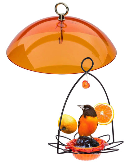 Oriole Jelly Bird Feeder