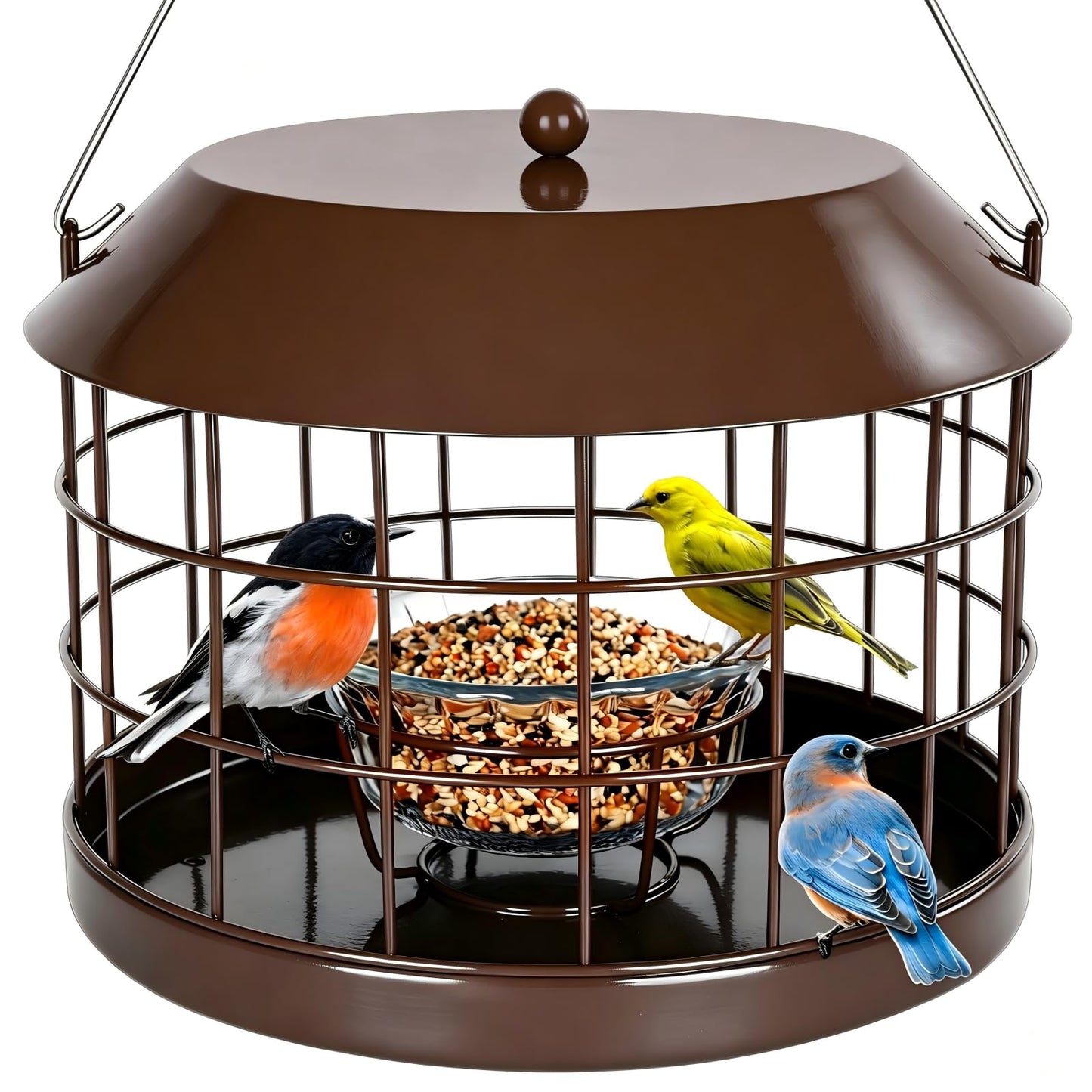 Squirrel Proof Suet Feeder