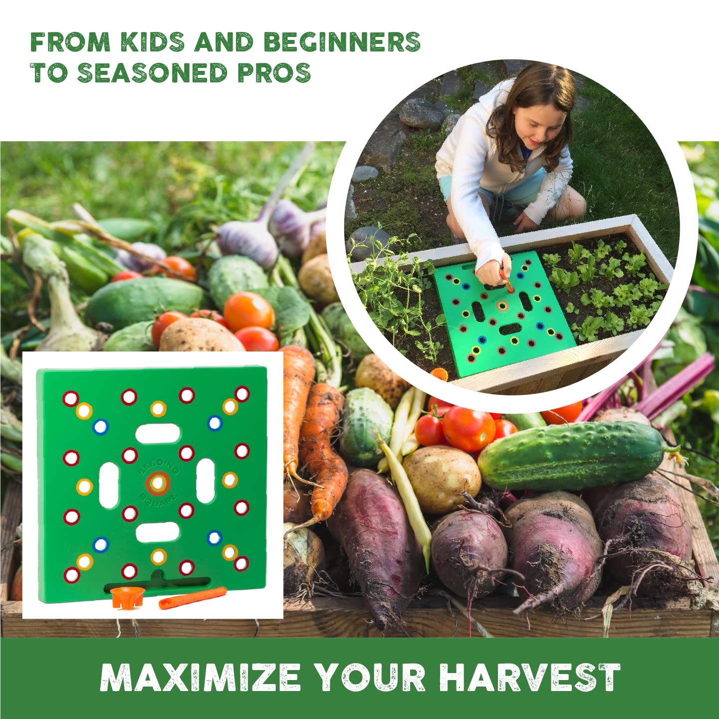 Garden Seed Spacing Planting Guide