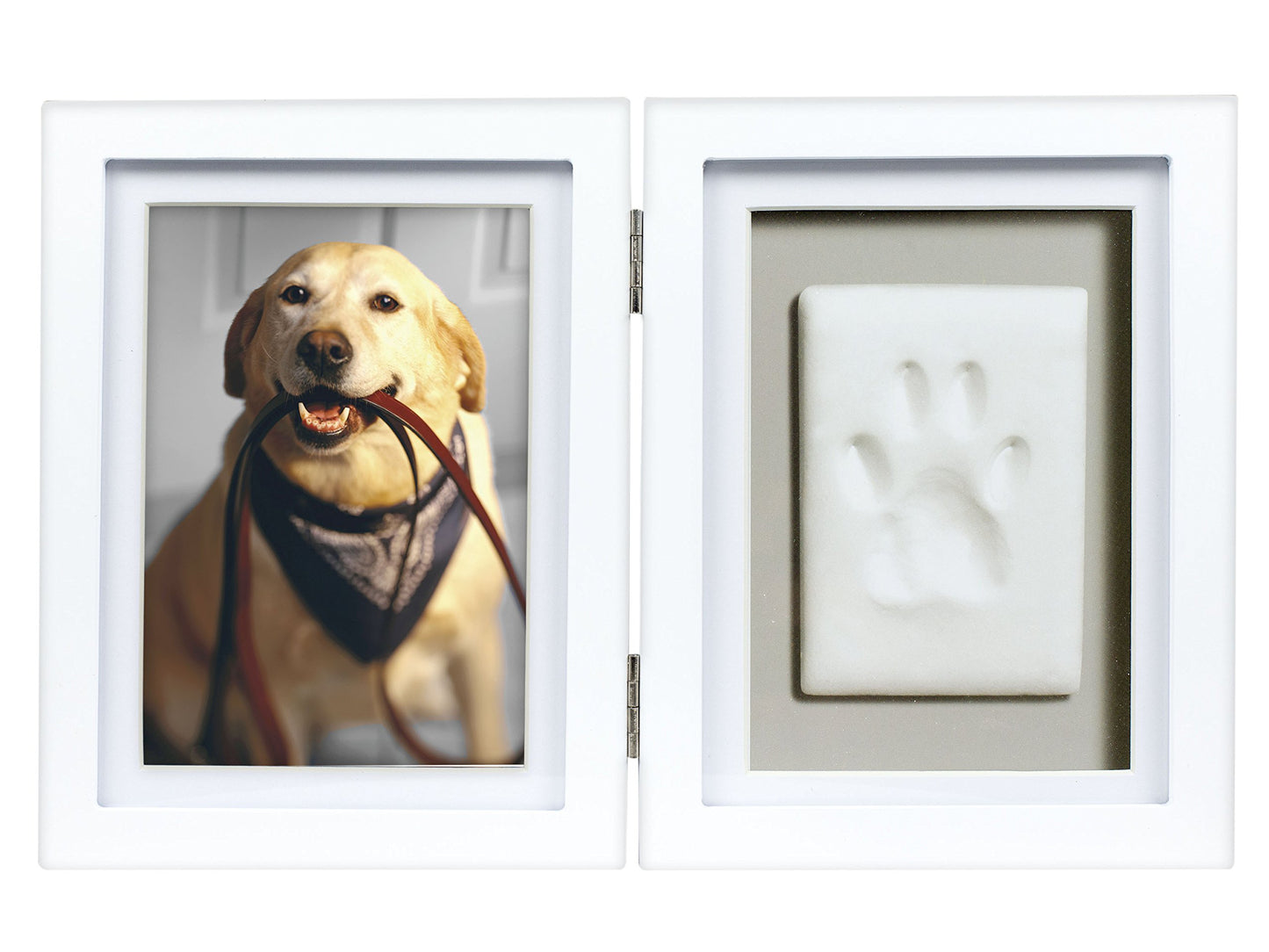 Pet Paw Print Keepsake Frame