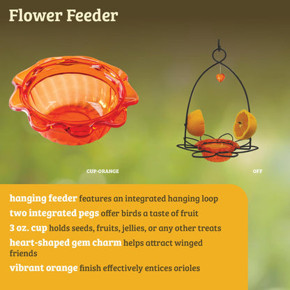 Oriole Jelly Bird Feeder