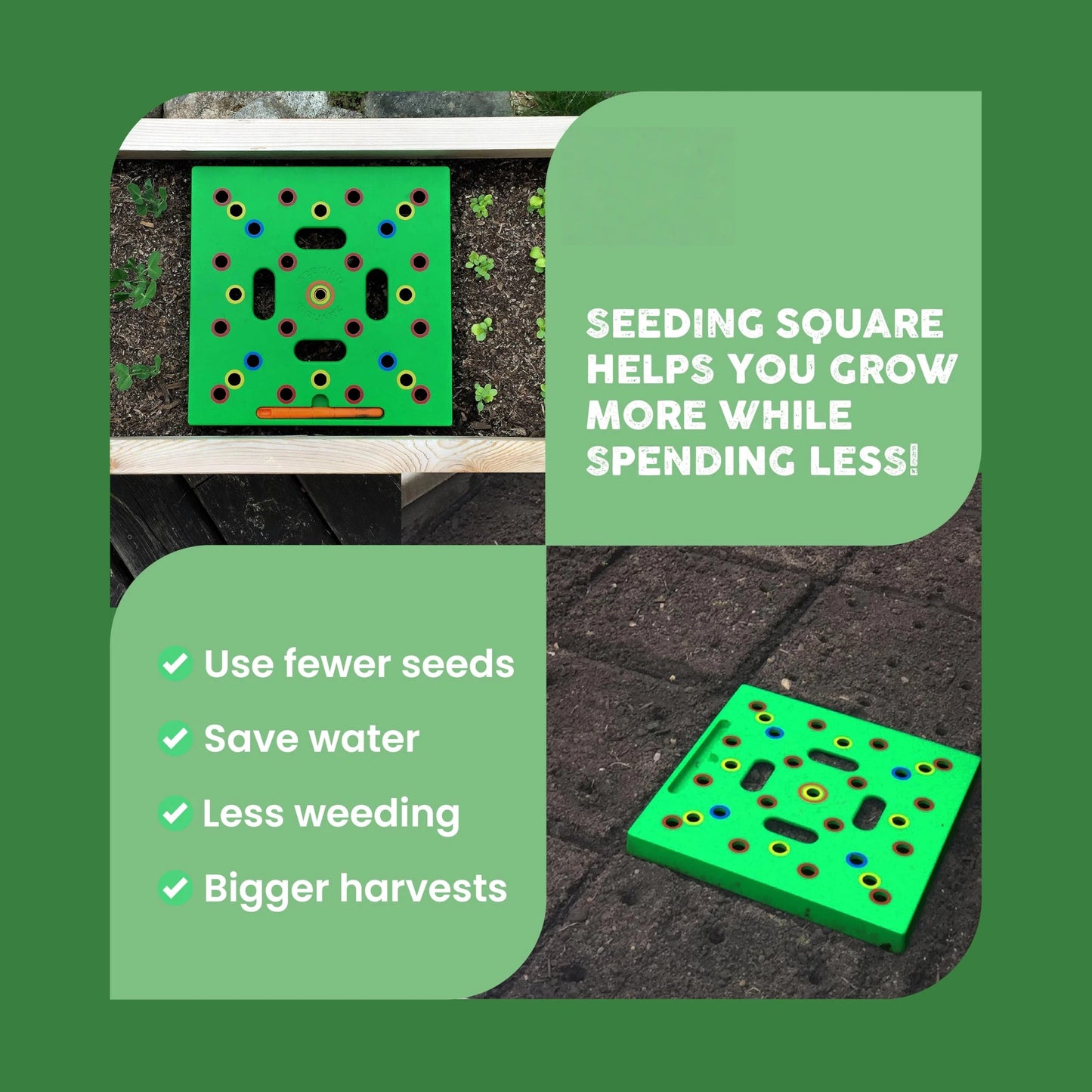 Garden Seed Spacing Planting Guide