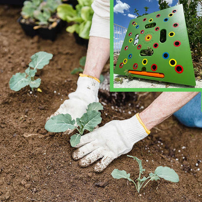 Garden Seed Spacing Planting Guide
