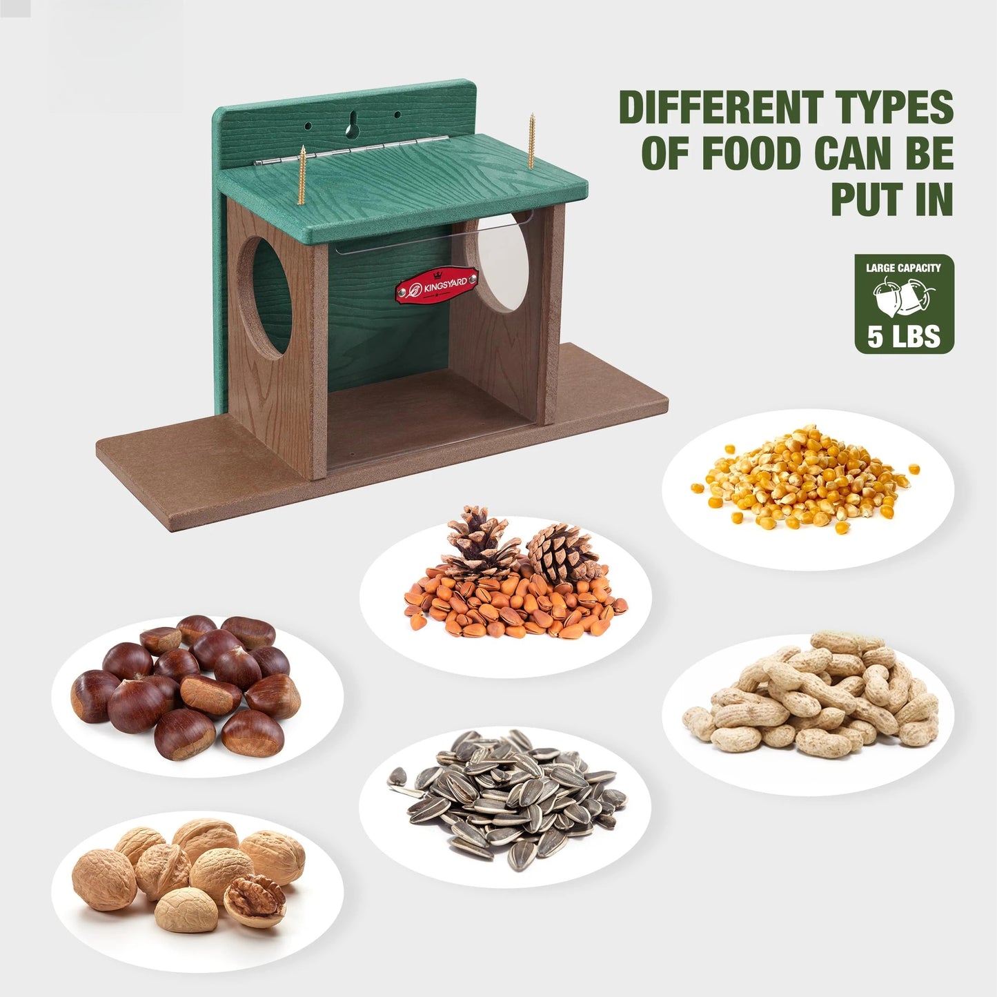 Outdoor Squirrel Feeding Station