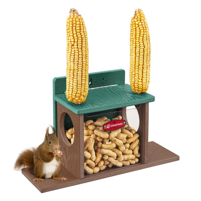 Outdoor Squirrel Feeding Station