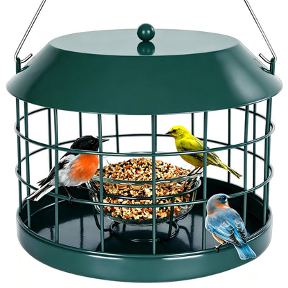 Squirrel Proof Suet Feeder