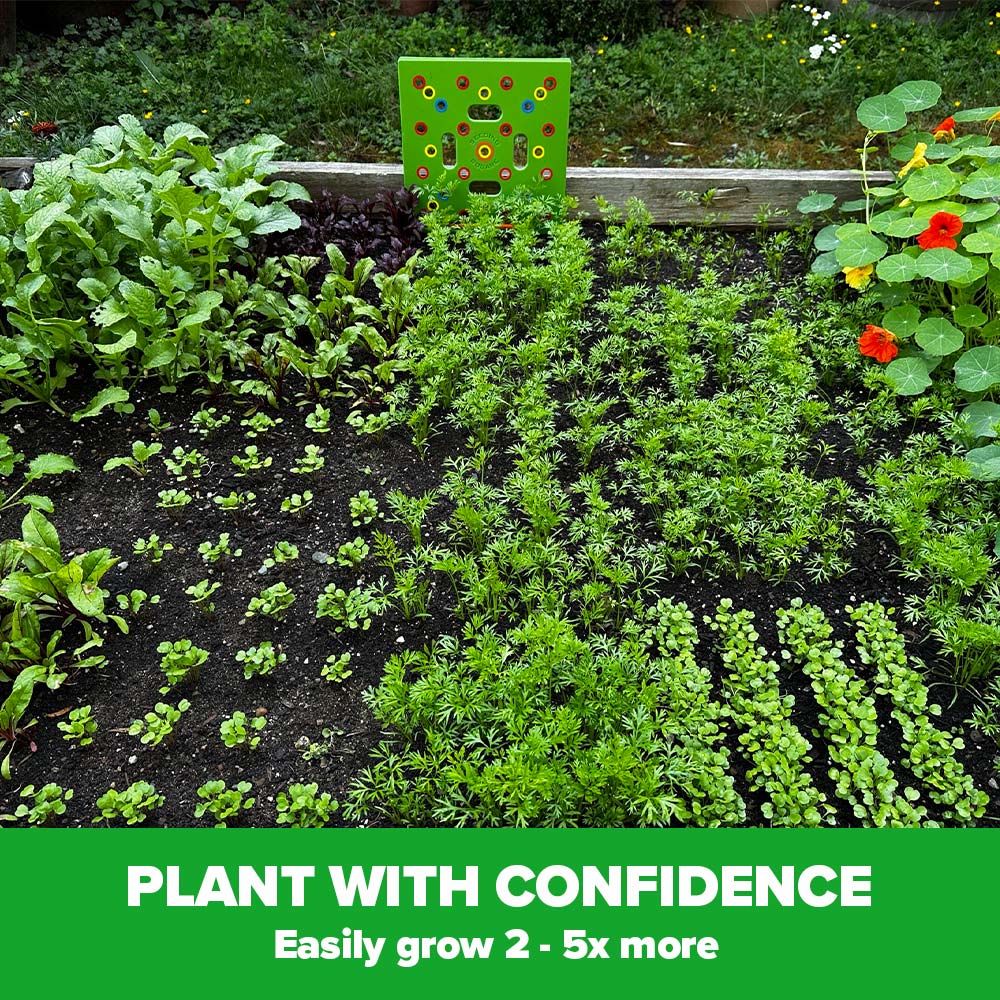 Garden Seed Spacing Planting Guide