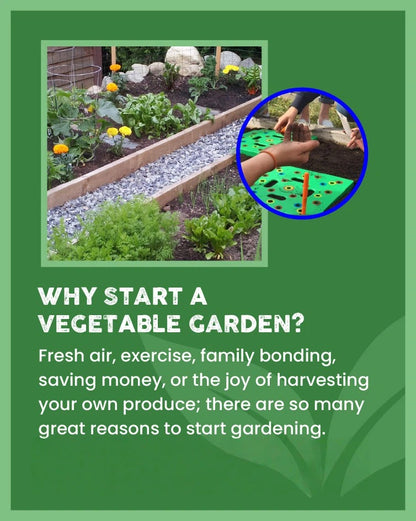 Garden Seed Spacing Planting Guide
