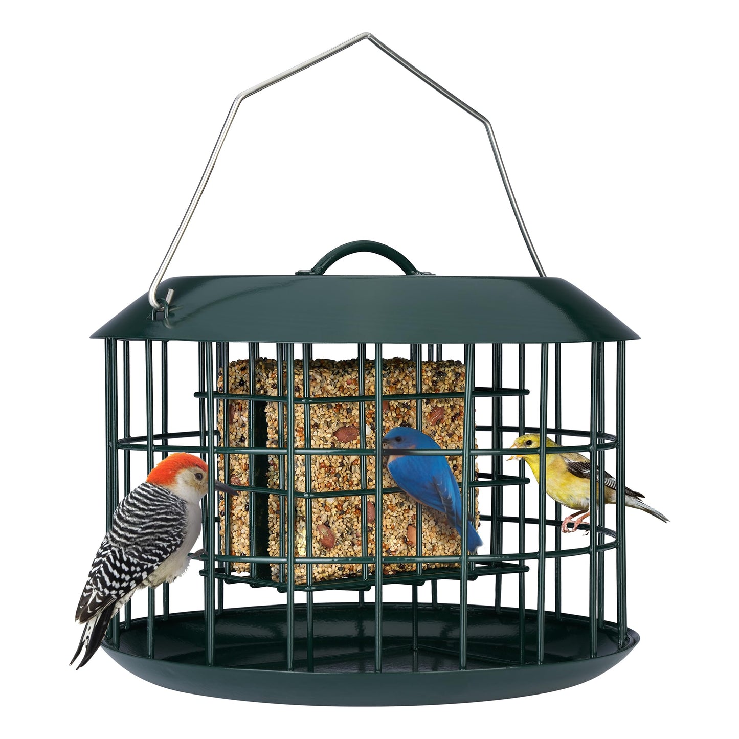 Squirrel Proof Suet Feeder
