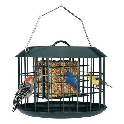 Squirrel Proof Suet Feeder