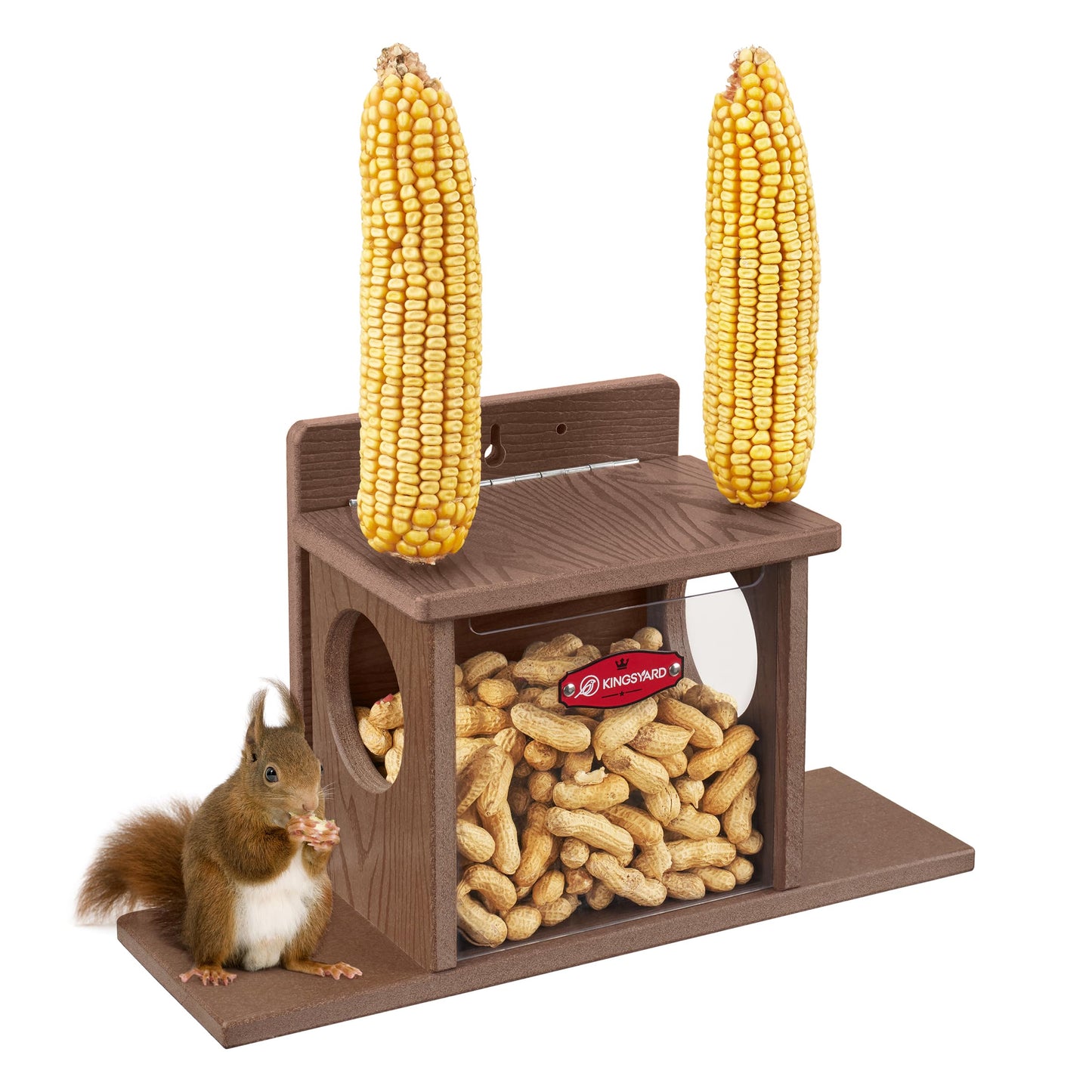 Outdoor Squirrel Feeding Station