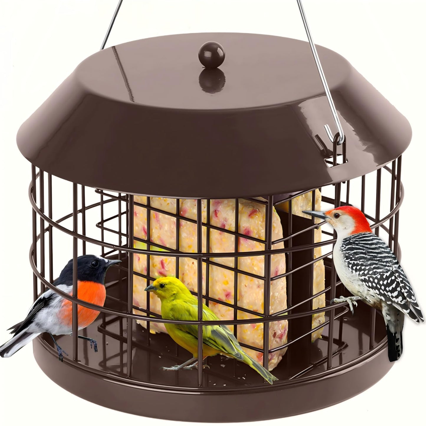 Squirrel Proof Suet Feeder
