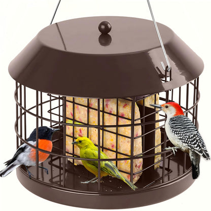 Squirrel Proof Suet Feeder