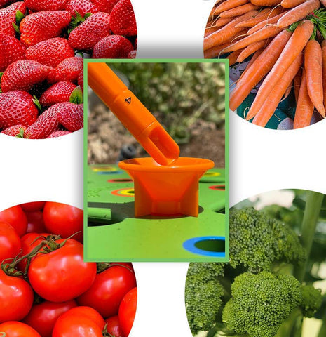 Garden Seed Spacing Planting Guide