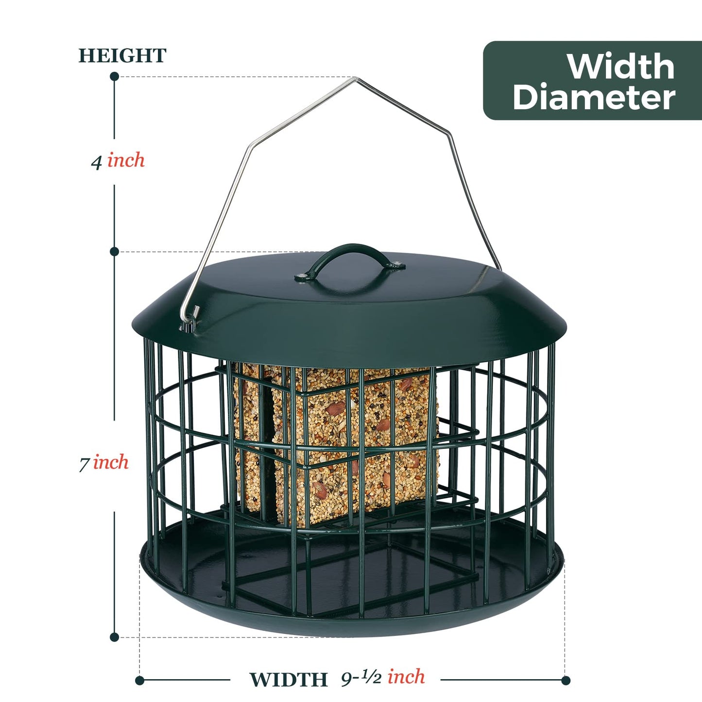 Squirrel Proof Suet Feeder