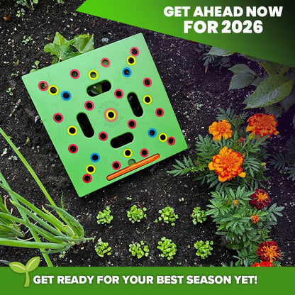 Garden Seed Spacing Planting Guide