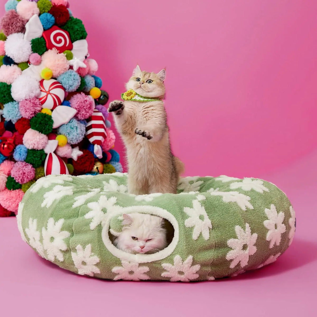 🐱Cat Tunnel Bed – 2-in-1 Play &Nap Solution
