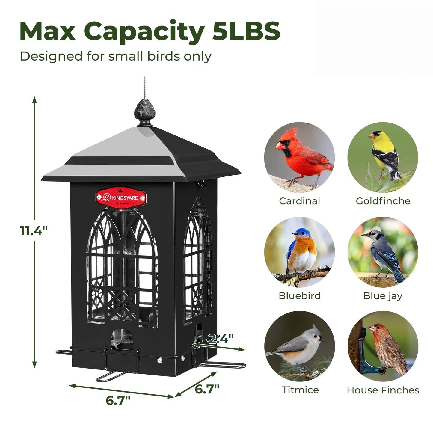Squirrel Resistant Bird Feeder