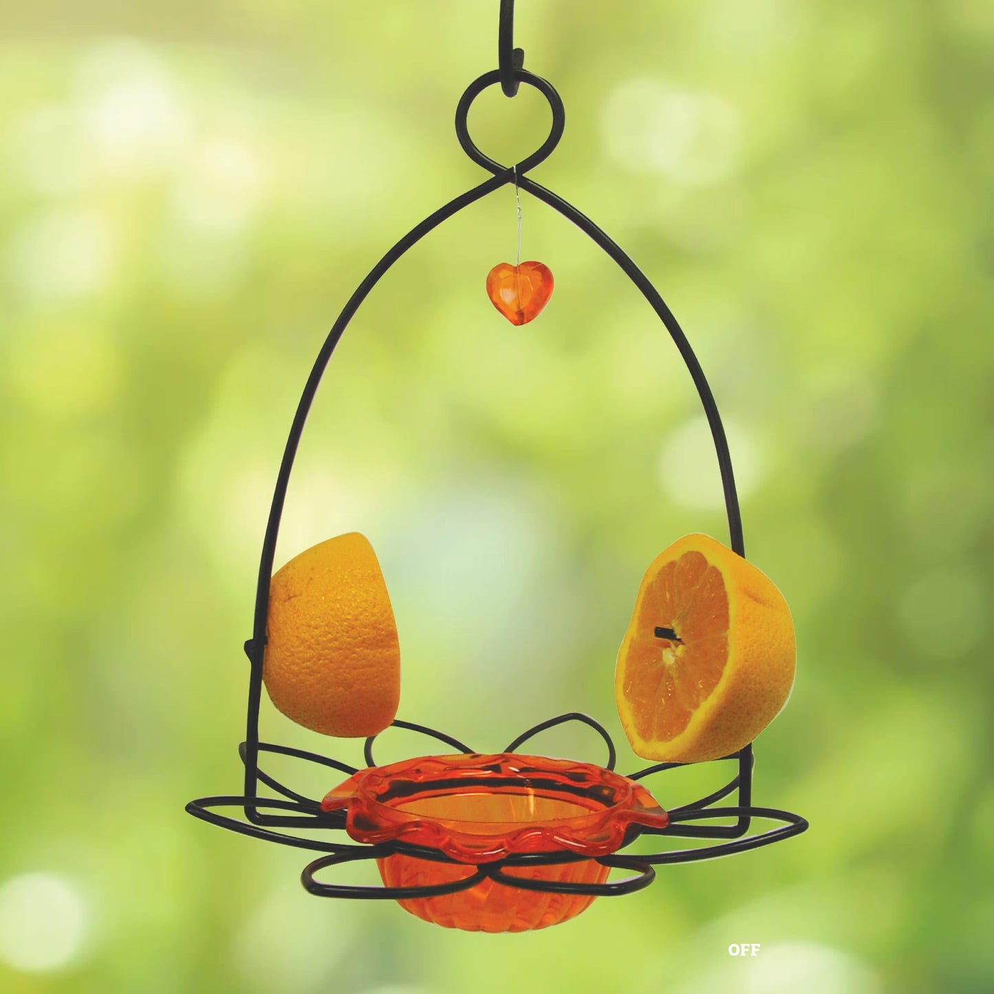 Oriole Jelly Bird Feeder