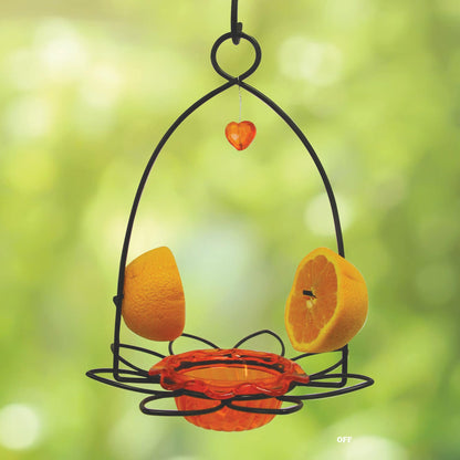 Oriole Jelly Bird Feeder