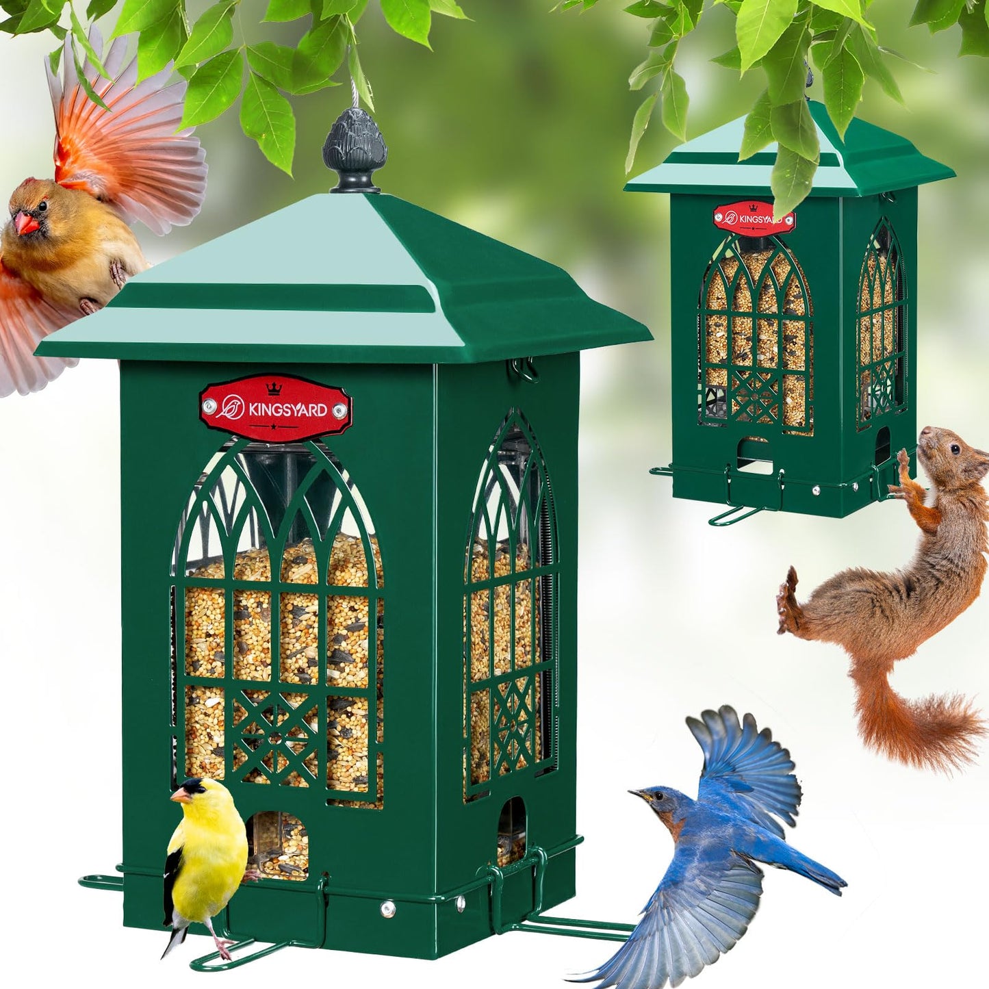 Squirrel Resistant Bird Feeder