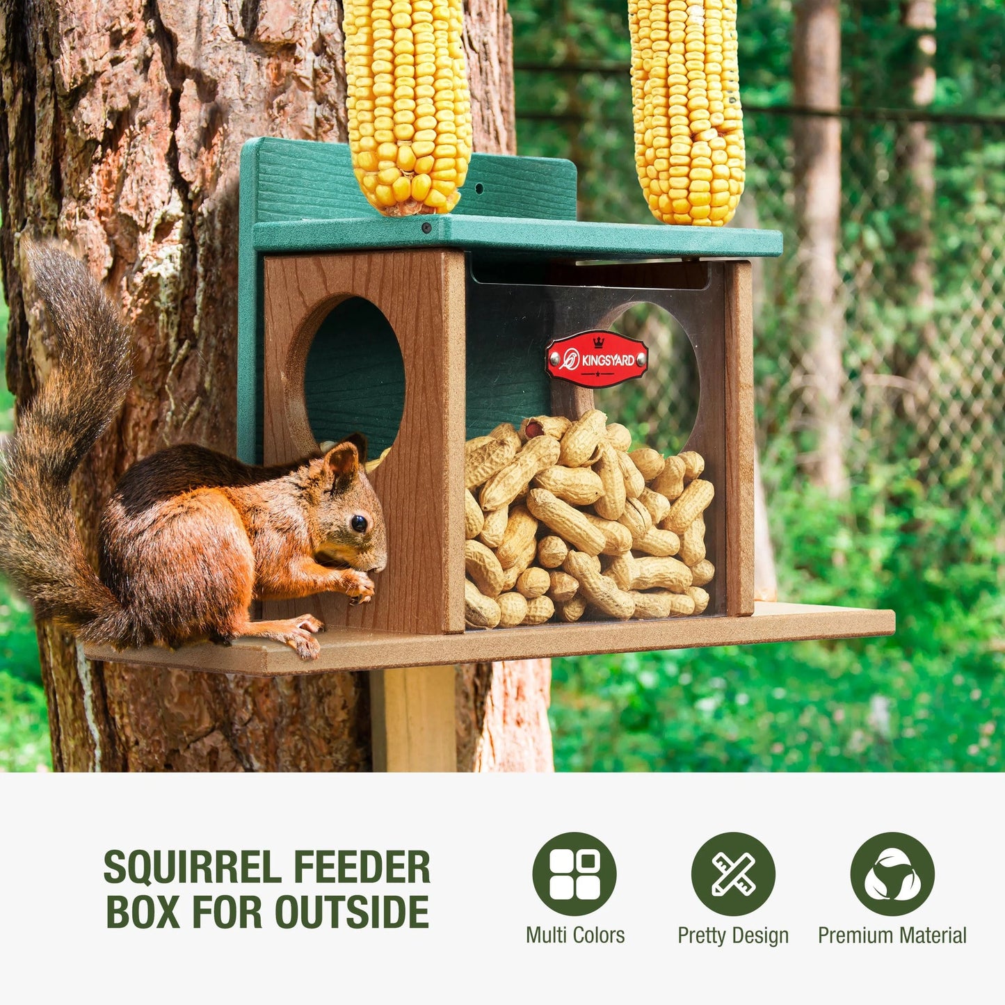 Outdoor Squirrel Feeding Station