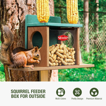 Outdoor Squirrel Feeding Station