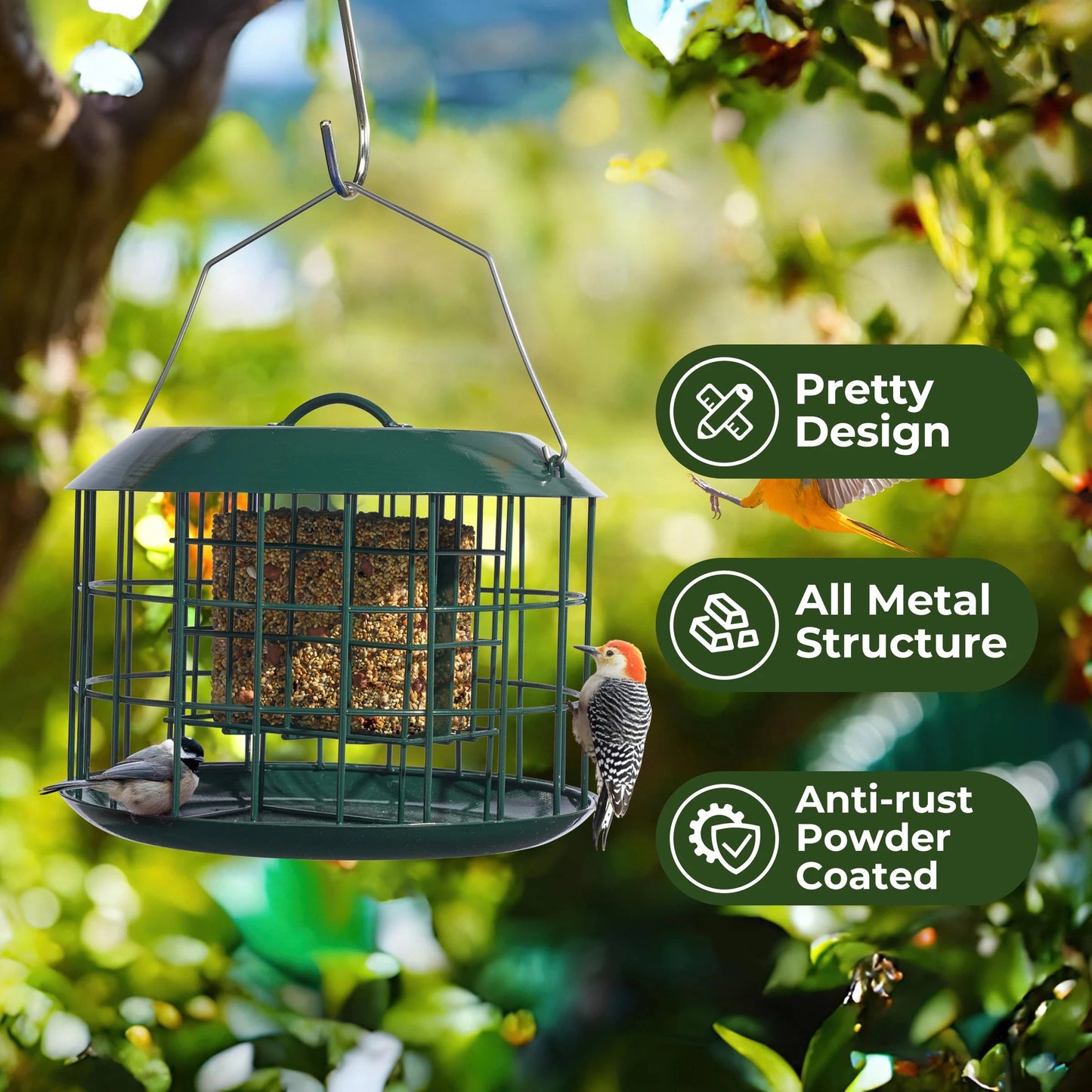 Squirrel Proof Suet Feeder