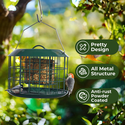 Squirrel Proof Suet Feeder