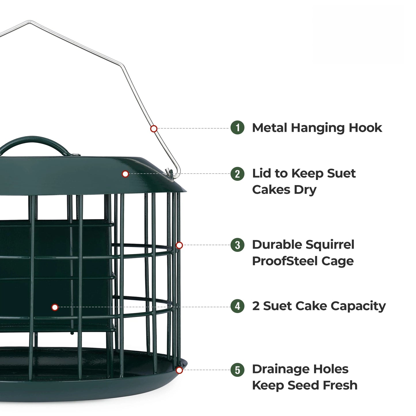 Squirrel Proof Suet Feeder