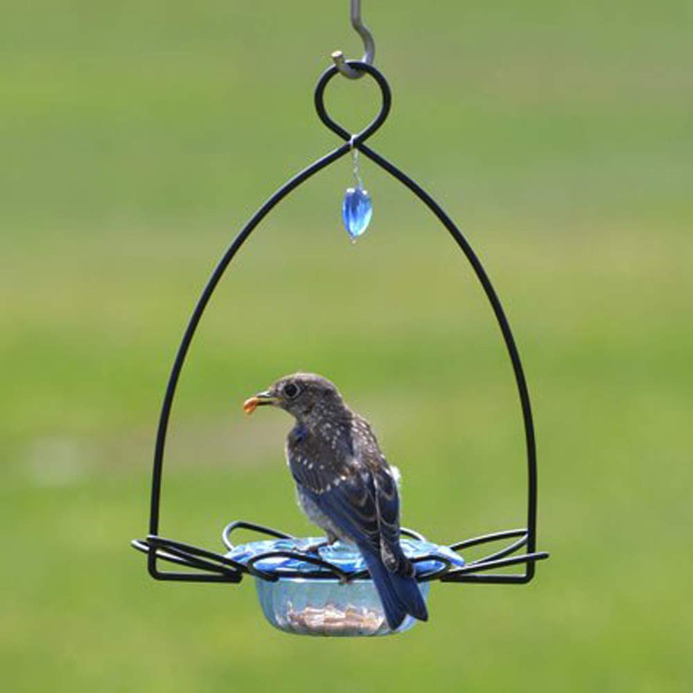 Oriole Jelly Bird Feeder