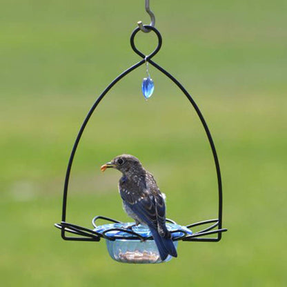 Oriole Jelly Bird Feeder