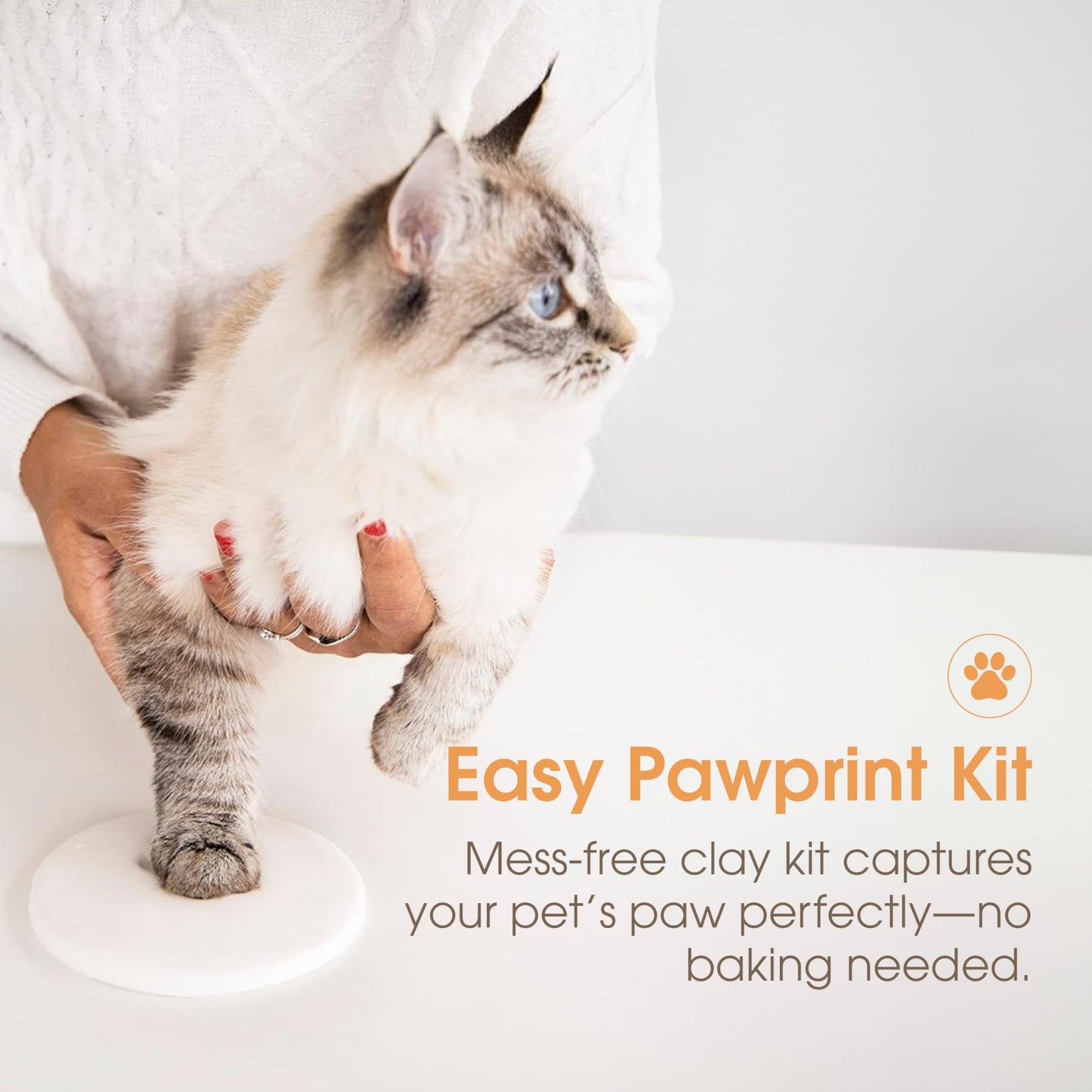 Pet Paw Print Keepsake Frame